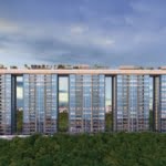 the ark by tribeca